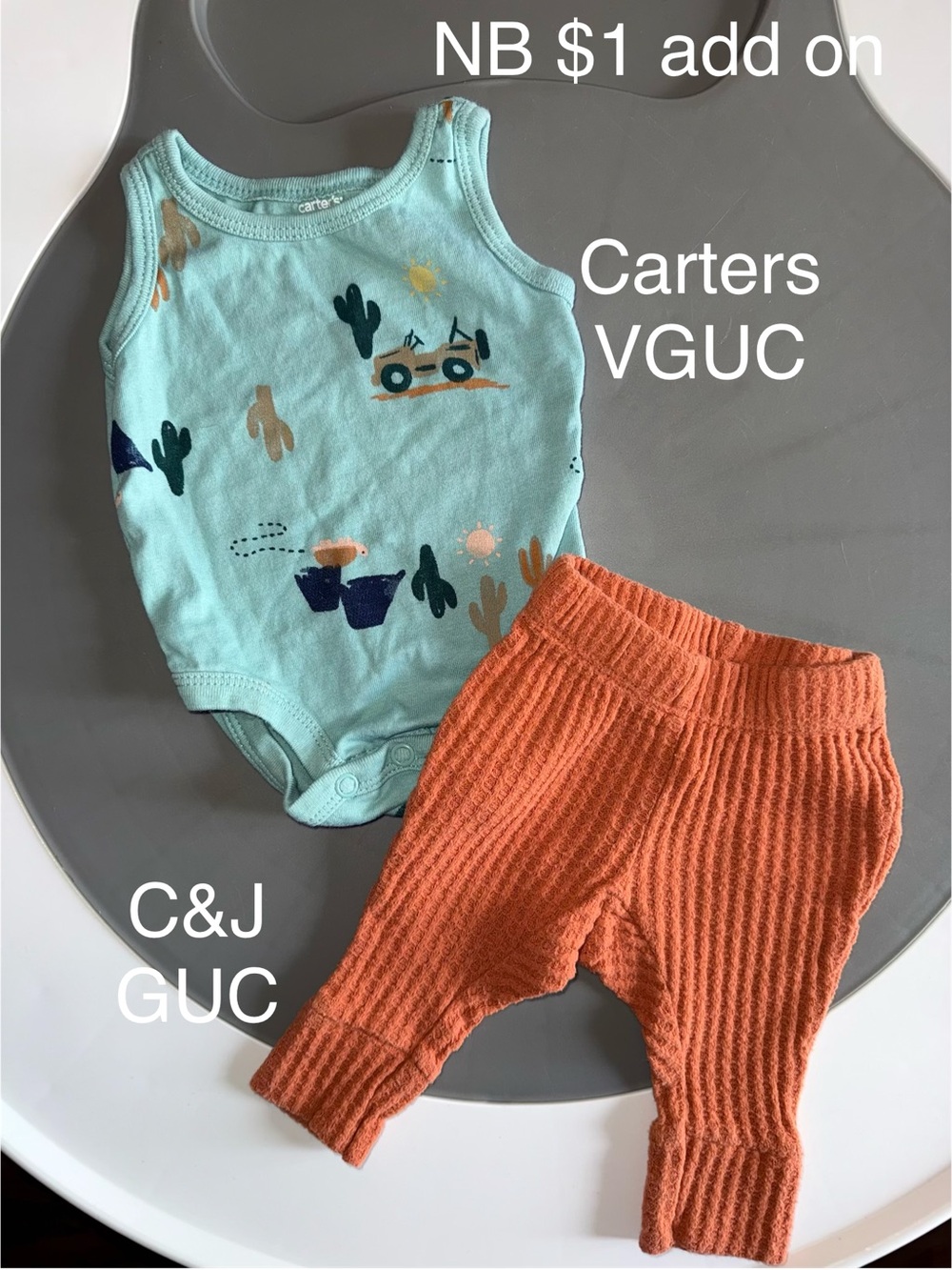 Carter's Mint Green Desert Print Bodysuit with Rust Knit Pants Set